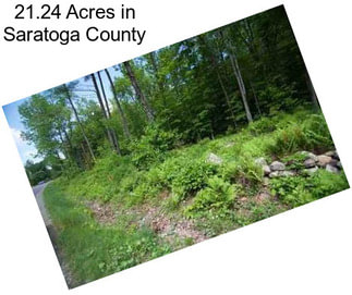 21.24 Acres in Saratoga County