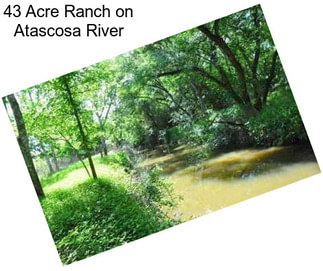 43 Acre Ranch on Atascosa River