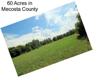 60 Acres in Mecosta County