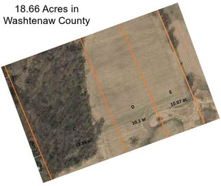 18.66 Acres in Washtenaw County