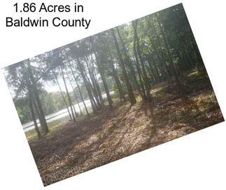 1.86 Acres in Baldwin County