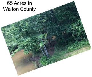 65 Acres in Walton County