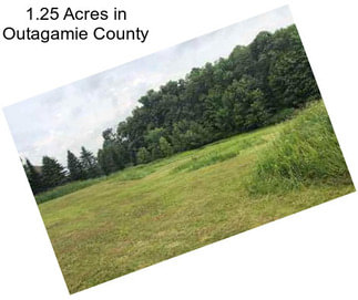 1.25 Acres in Outagamie County