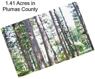 1.41 Acres in Plumas County