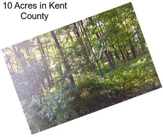 10 Acres in Kent County