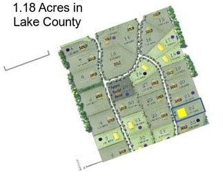 1.18 Acres in Lake County