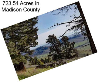 723.54 Acres in Madison County