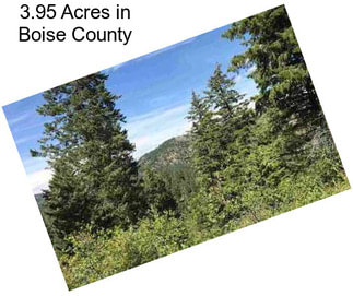 3.95 Acres in Boise County