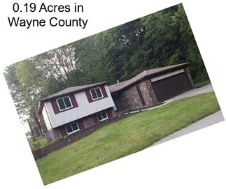 0.19 Acres in Wayne County
