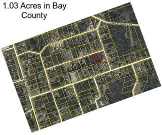 1.03 Acres in Bay County