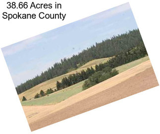 38.66 Acres in Spokane County