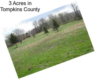 3 Acres in Tompkins County