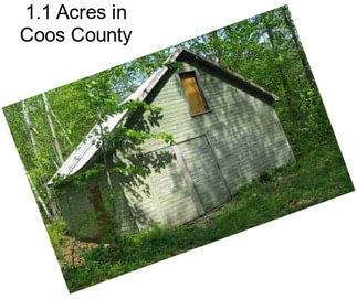 1.1 Acres in Coos County