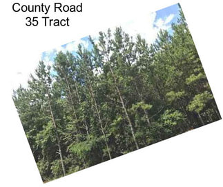 County Road 35 Tract