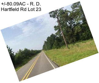 +/-80.09AC - R. D. Hartfield Rd Lot 23