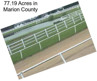 77.19 Acres in Marion County