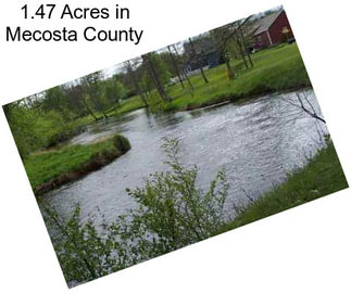 1.47 Acres in Mecosta County