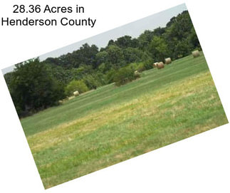 28.36 Acres in Henderson County