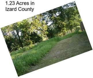 1.23 Acres in Izard County