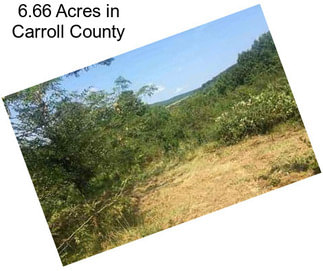 6.66 Acres in Carroll County