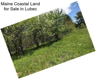 Maine Coastal Land for Sale in Lubec