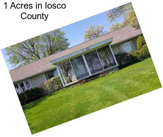 1 Acres in Iosco County