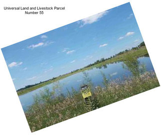 Universal Land and Livestock Parcel Number 55