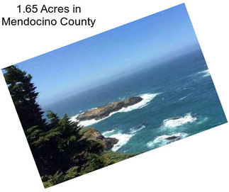 1.65 Acres in Mendocino County