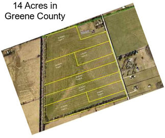 14 Acres in Greene County