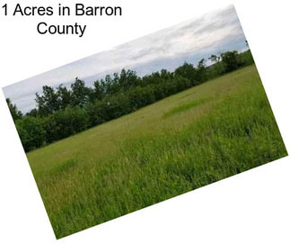 1 Acres in Barron County