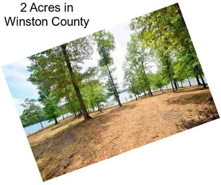 2 Acres in Winston County