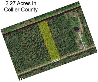 2.27 Acres in Collier County