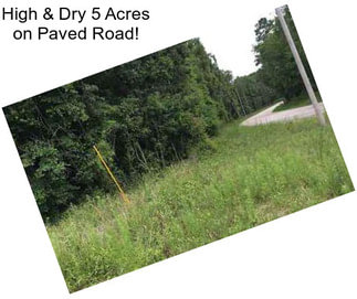 High & Dry 5 Acres on Paved Road!