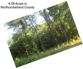 6.08 Acres in Northumberland County