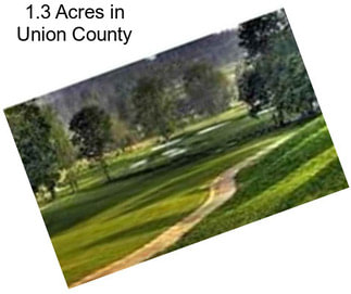 1.3 Acres in Union County