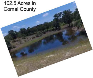 102.5 Acres in Comal County