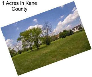 1 Acres in Kane County