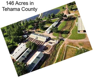 146 Acres in Tehama County