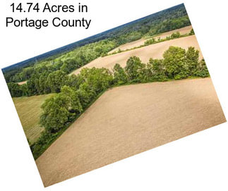 14.74 Acres in Portage County