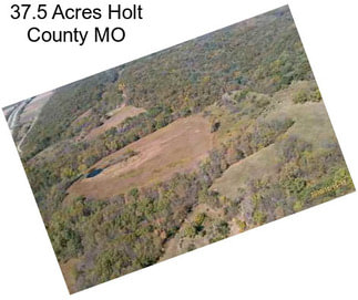 37.5 Acres Holt County MO