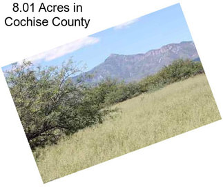 8.01 Acres in Cochise County