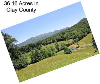 36.16 Acres in Clay County