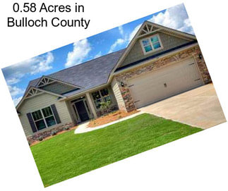 0.58 Acres in Bulloch County