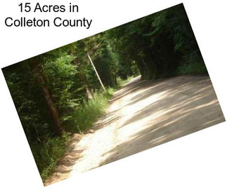15 Acres in Colleton County