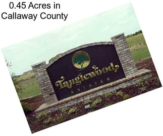 0.45 Acres in Callaway County