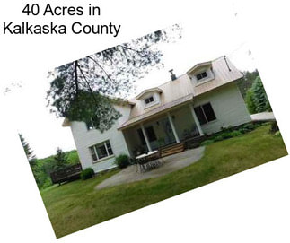 40 Acres in Kalkaska County