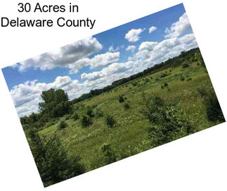 30 Acres in Delaware County