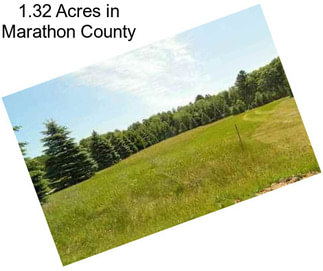 1.32 Acres in Marathon County