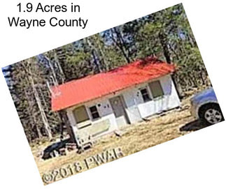 1.9 Acres in Wayne County