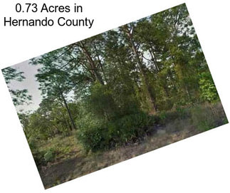 0.73 Acres in Hernando County